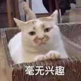 小草莓