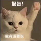流星