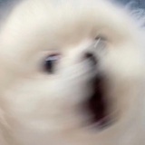 周董