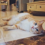Penny