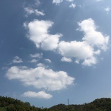蛋