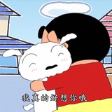 巧克力力