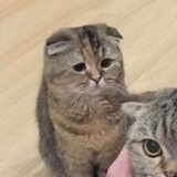 深海