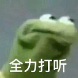 一只蛤蛙