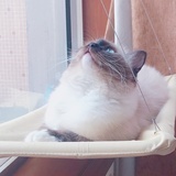 MEImmmmmm