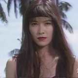 炼气期人类