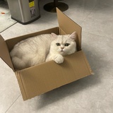 管好你自己