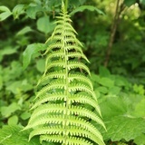 豆友192665774