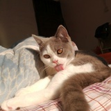 Morningsun