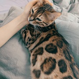 你是哪颗小米粒