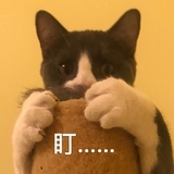 伏地魔b