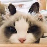 波子汽水
