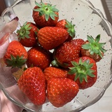 肉肉x。