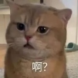 闭上眼睛665