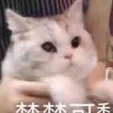 三千鸦杀