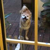 四月