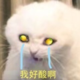 残槐