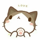 蜜糖小猫