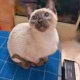 卟懂