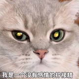 退堂鼓大师