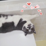 欧元玛麻