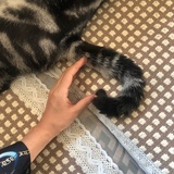 肥宅要减肥