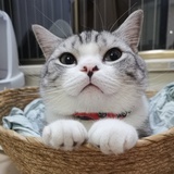 咘可爱