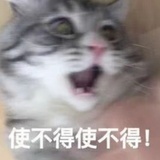 暴躁小罗