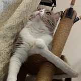 衣之所念