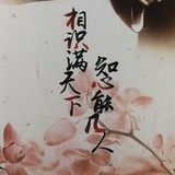 蛋黄丫