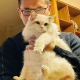 乌米