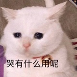 Wmy