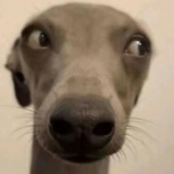 永恒的浴霸