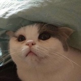 唧唧歪歪