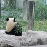 来根烤肠吧