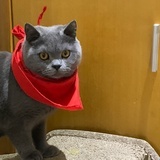 豆儿