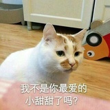 别动我奶盖☁️