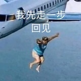 暴躁猫养人
