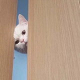 汉堡下车