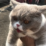 人和地铁租房