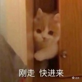 多情剑