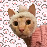 糖包子。