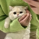 毕啵毕啵
