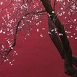 小蚊子