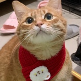 咩咩