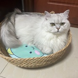 Maggie