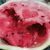 呆瓜的保镖