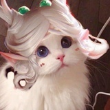解语花