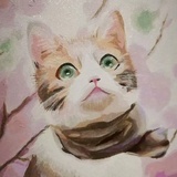 星星在远方