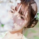 菠萝不吹雪